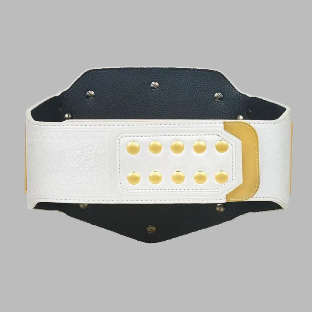 RAW Women’s Championship Belt – Modern Women’s Wrestling Title