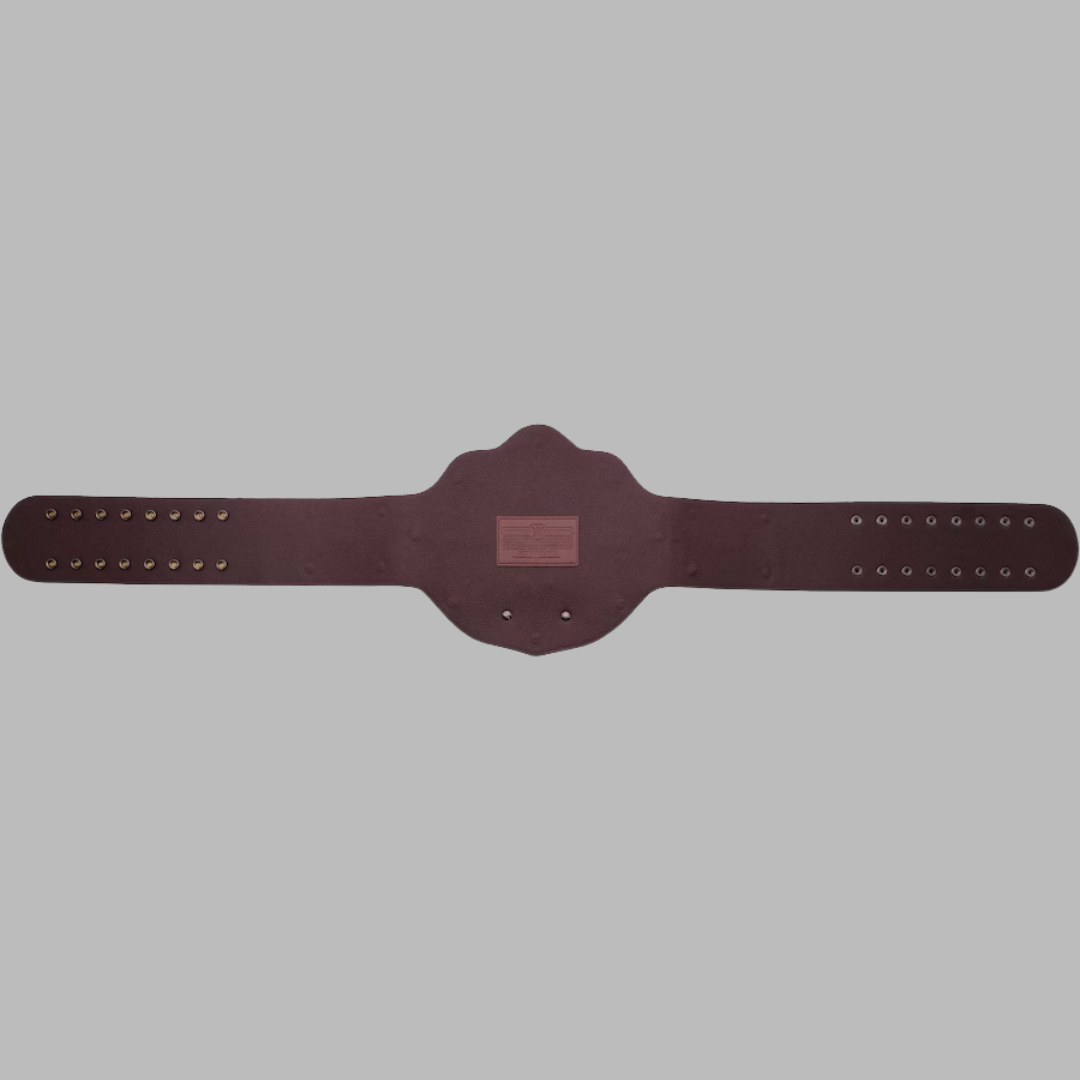 Big Gold World Heavyweight Championship Belt – Classic Collector Title